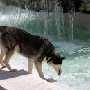 10 FFFK MA Kobsch Hans Durst 11